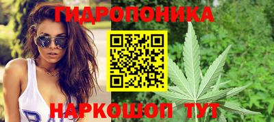 дурь Кимры