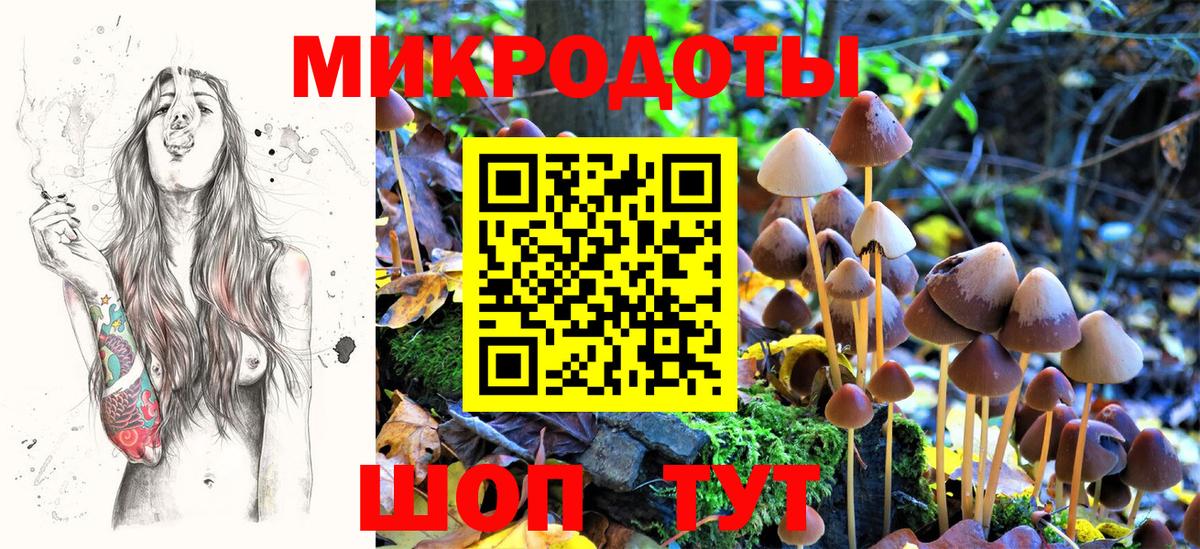 Псилоцибиновые грибы GOLDEN TEACHER Корсаков