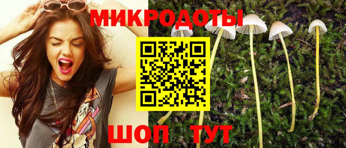 Корсаков  наркота  Вход с VPN  Галлюциногенные грибы GOLDEN TEACHER 